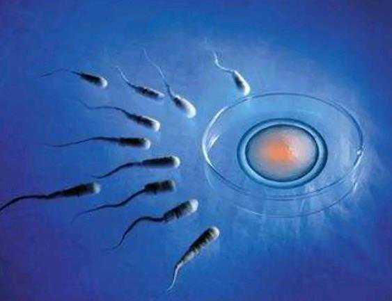 传承助孕2023年在广州做试管婴儿的流程是怎样的?_供卵生子助孕
