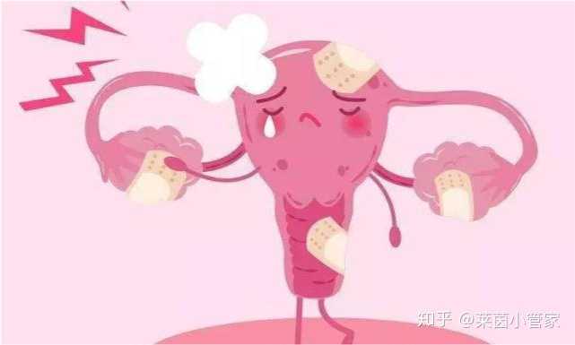 上海三大助孕公司——选择靠谱十月幸孕助孕公司_生殖机构代孕套餐
